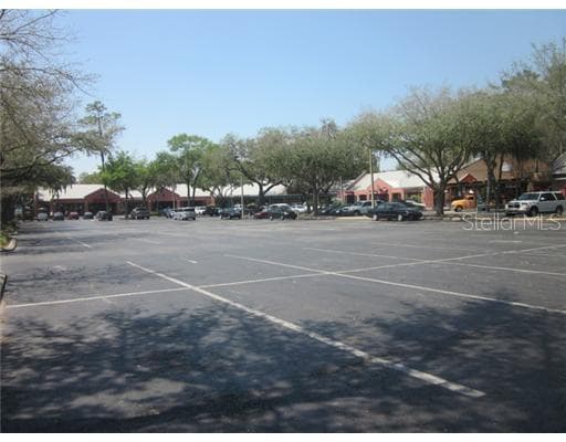 2836 BEARSS AVENUE LUTZ, FL 33559
