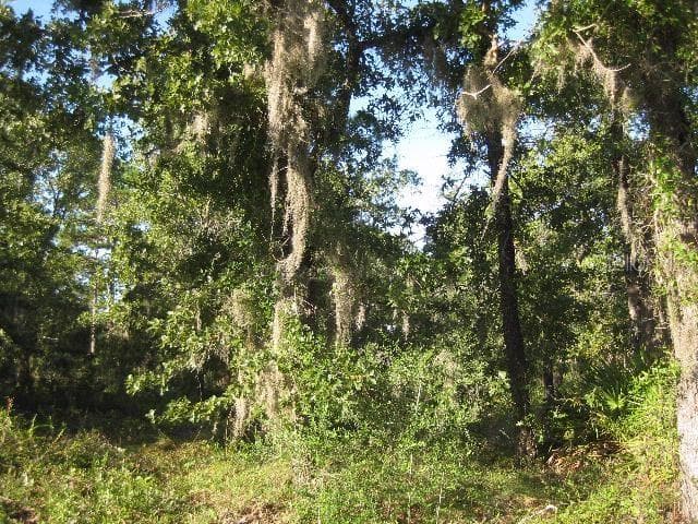 3733 STRICKLANDS LANDING DRIVE PERRY, FL 32348