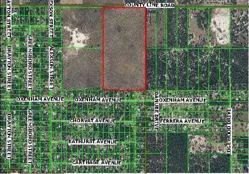 COUNTY LINE ROAD SPRING HILL, FL 34610