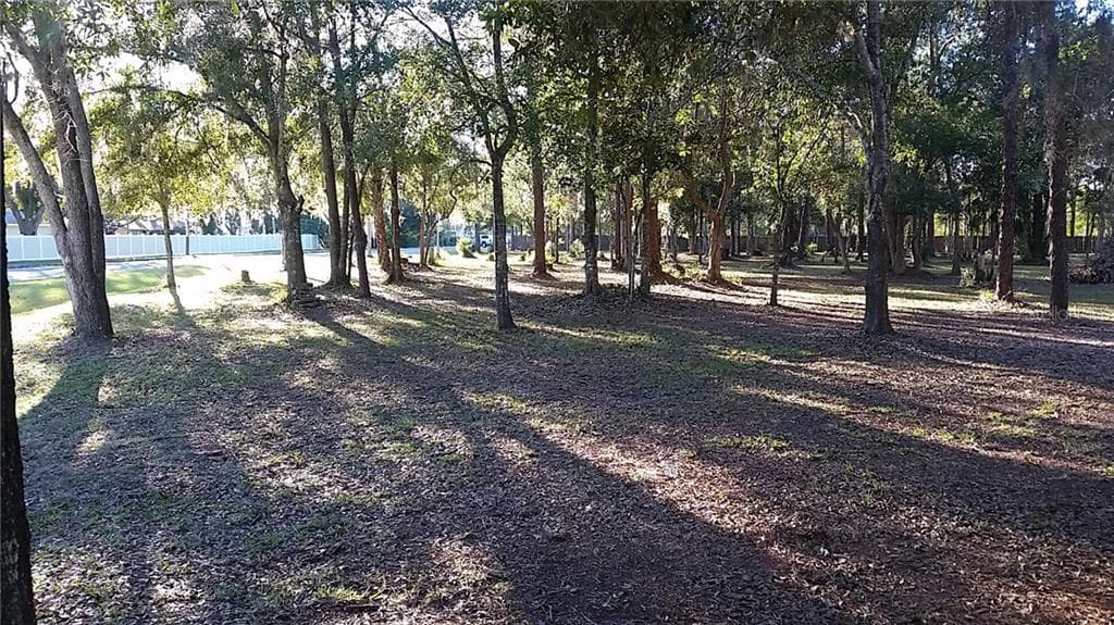 BELL LAKE LAND O LAKES, FL 34639