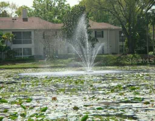 10374 CARROLLWOOD LANE UNIT 248 TAMPA, FL 33618