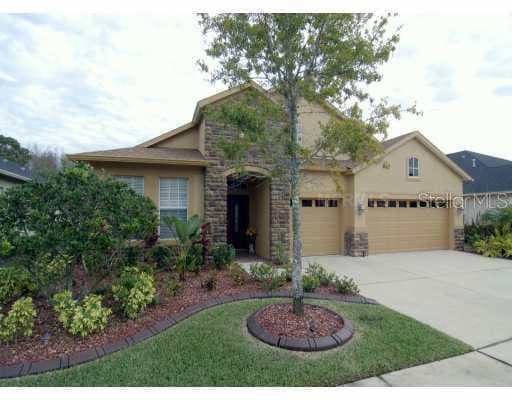 16311 NIKKI LANE ODESSA, FL 33556