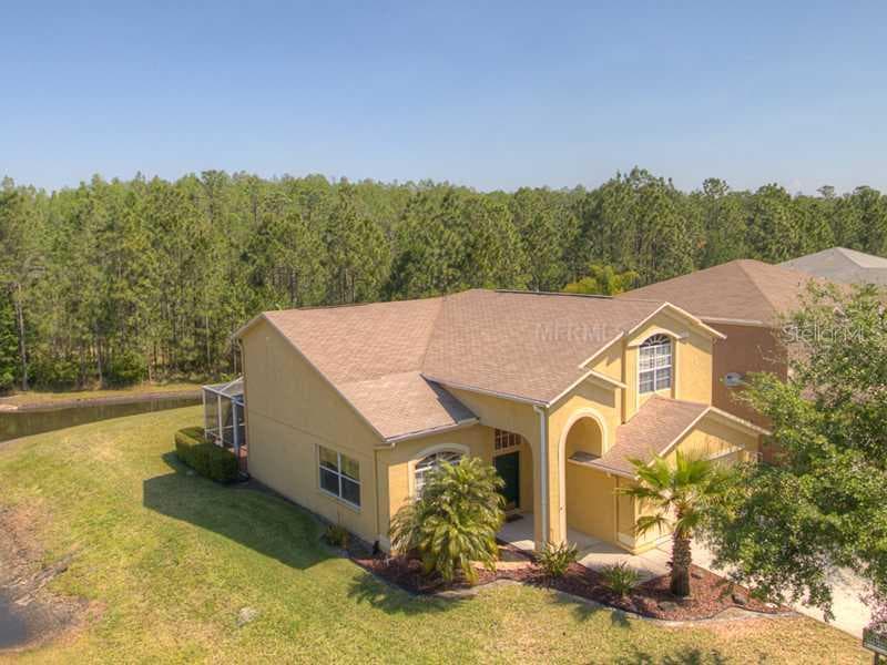 13206 ROYAL GEORGE AVENUE ODESSA, FL 33556