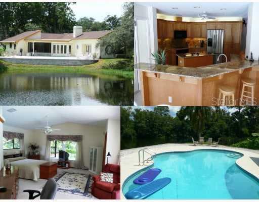 2364 Pine Tree TERRACE Palm Harbor, FL 34683