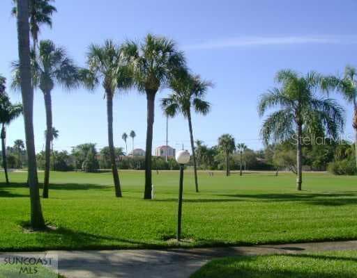 6219 Palma Del Mar BOULEVARD S UNIT 111 St. Petersburg, FL 33715