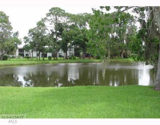 203 MARTHA LANE Oldsmar, FL 34677
