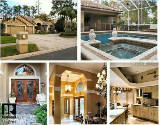 1306 Preservation WAY Oldsmar, FL 34677