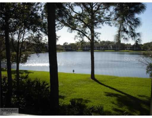 40 Woodlake PLACE Oldsmar, FL 34677