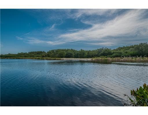 1708 LAGO VISTA BOULEVARD PALM HARBOR, FL 34685