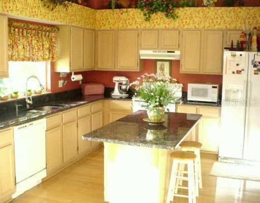 15621 SHOAL CREEK PLACE ODESSA, FL 33556