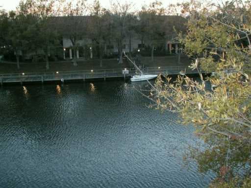 6311 NEWTOWN CREEK UNIT 11B Tampa, FL 33615