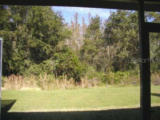 31113 WHITLOCK DRIVE Wesley Chapel, FL 33543