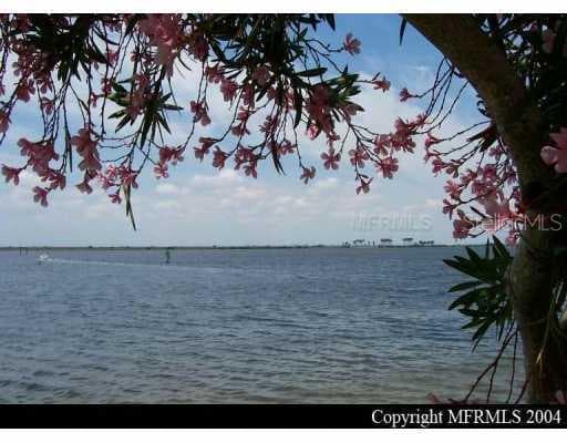4210 Bay Club CIRCLE UNIT 4210 Tampa, FL 33607