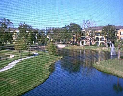 10211 Courtney Palms UNIT 9201 Tampa, FL 33619