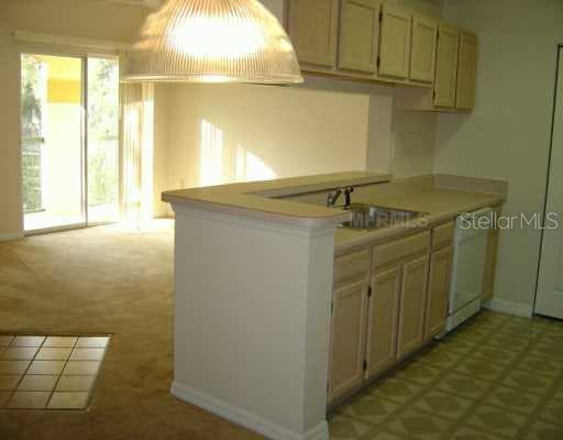 PINNACLE HEIGHTS CIRCLE TAMPA, FL 33624