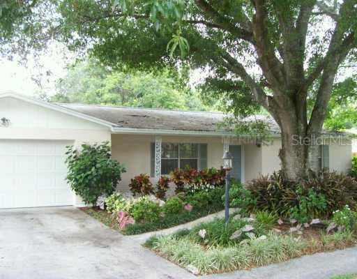 12503 Paddock Tampa, FL 33618
