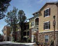 10019 Courtney Palm UNIT 102 Tampa, FL 33619