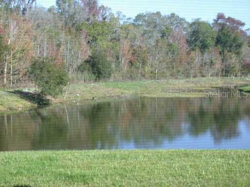 1301 BIG CREEK DRIVE WESLEY CHAPEL, FL 33543