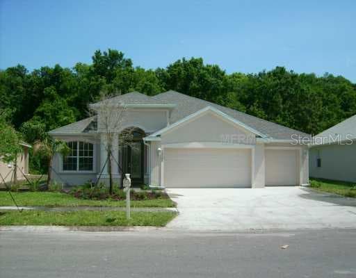 10528 DEERBERRY DRIVE LAND O LAKES, FL 34638