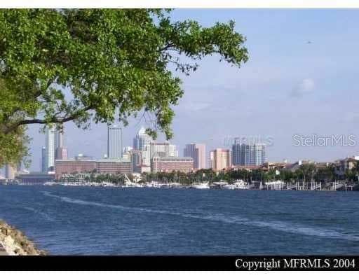 318 INNER HARBOUR CREEK Tampa, FL 33602