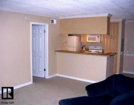 5305 SAN SEBASTIAN STREET UNIT 226 Tampa, FL 33609