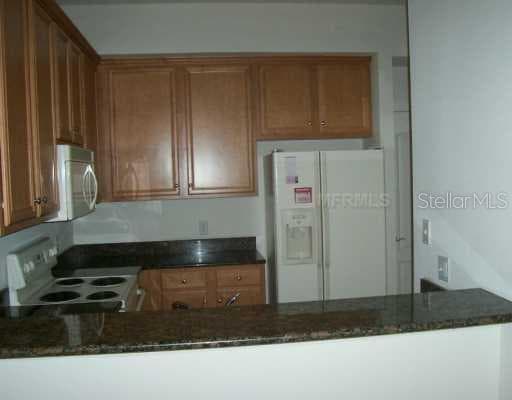 9098 Iron Oak AVENUE New Tampa, FL 33647