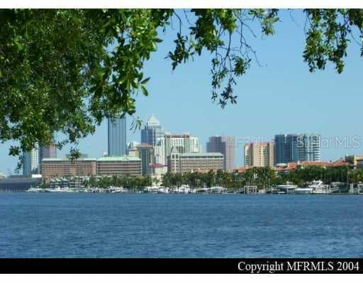 1101 SHIPWATCH CREEK TAMPA, FL 33602