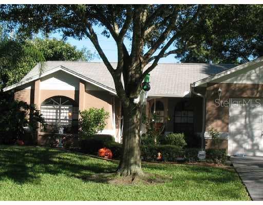 22115 LAVER LANE LAND O LAKES, FL 34639