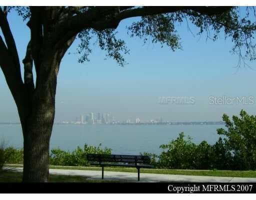 3019 POINTEVIEW DRIVE Tampa, FL 33602