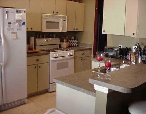 24613 LAUREL RIDGE DRIVE LUTZ, FL 33559