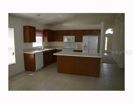 13019 TRIBUTE DRIVE Riverview, FL 33579