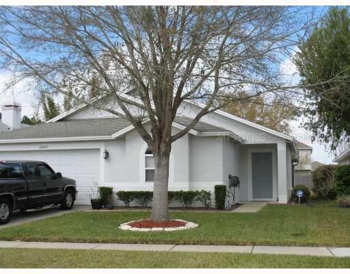 22805 SILLS LAND O LAKES, FL 34639