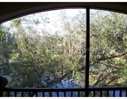 10121 COURTNEY PALMS DRIVE UNIT 304 Tampa, FL 33619