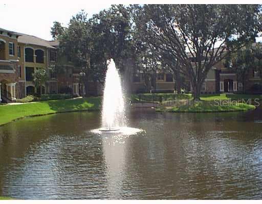 10025 COURTNEY PALMS DRIVE UNIT 304 Tampa, FL 33619