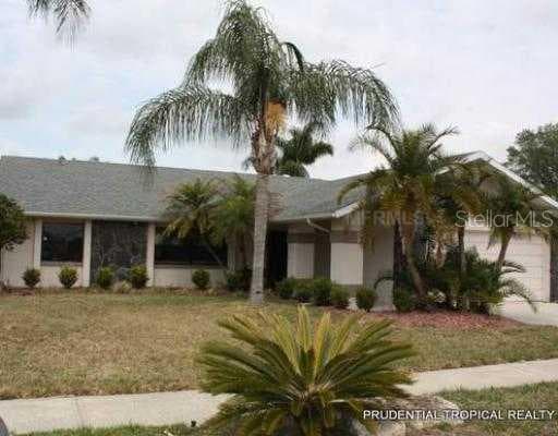 8129 DAMARA DRIVE NEW PORT RICHEY, FL 34653