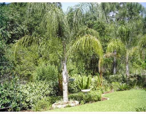 19214 ROBIN PERCH LANE TAMPA, FL 33647