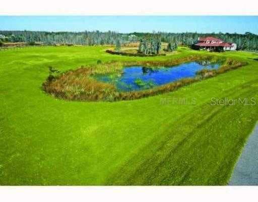 11523 TROTTING DOWN DRIVE ODESSA, FL 33556