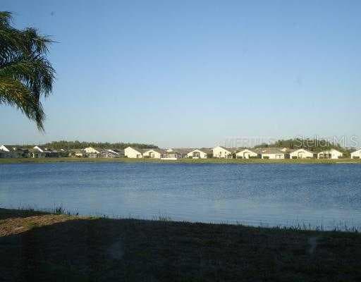 2746 MUSKY MINT DRIVE LAND O LAKES, FL 34638