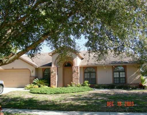 3907 BLUE MAIDENCANE PLACE VALRICO, FL 33596