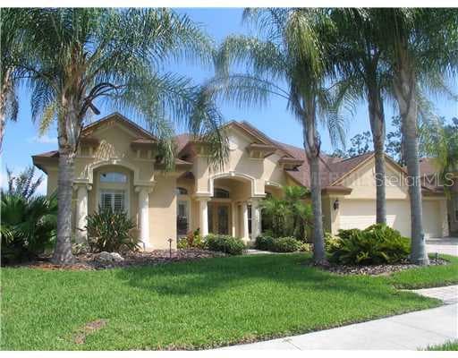 27125 WINGED ELM DRIVE WESLEY CHAPEL, FL 33544
