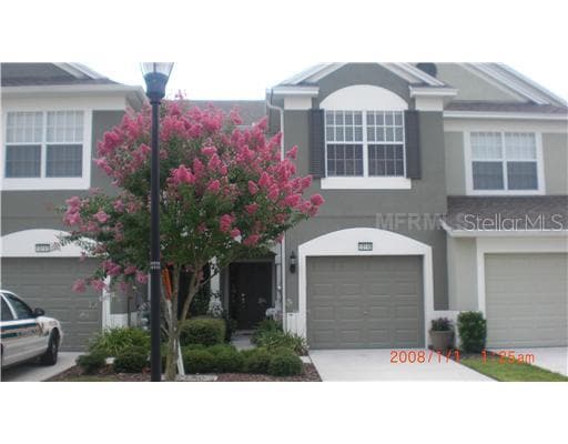10149 PINK PALMATA COURT RIVERVIEW, FL 33578