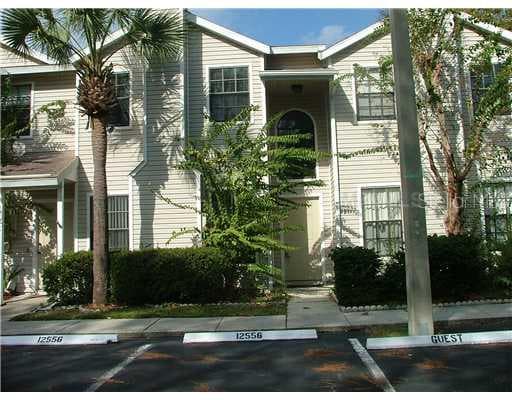 12556 CASTLE HILL DRIVE TAMPA, FL 33624