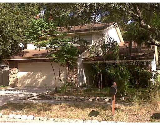14715 TALL TREE DRIVE LUTZ, FL 33559
