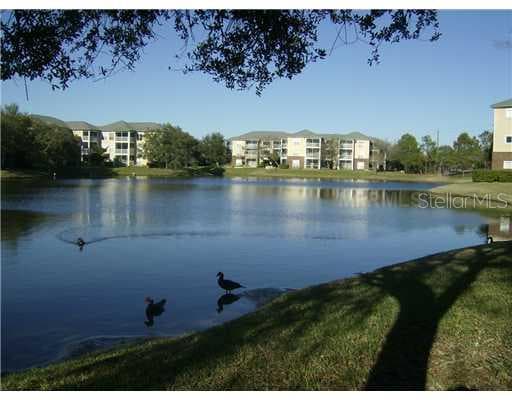 4115 CHATHAM OAK COURT UNIT 203 TAMPA, FL 33624