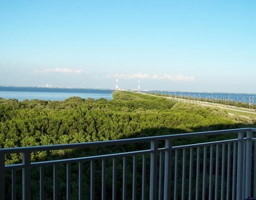 12077 GANDY BOULEVARD N UNIT 344 ST PETERSBURG, FL 33702