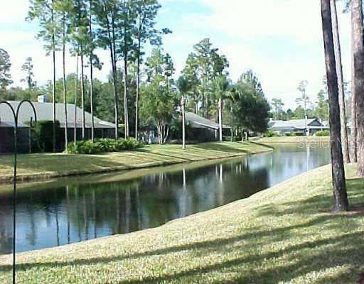 869 Lucas LANE Oldsmar, FL 34677