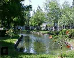 6802 Stone's Throw CIRCLE UNIT #104 St. Petersburg, FL 33710