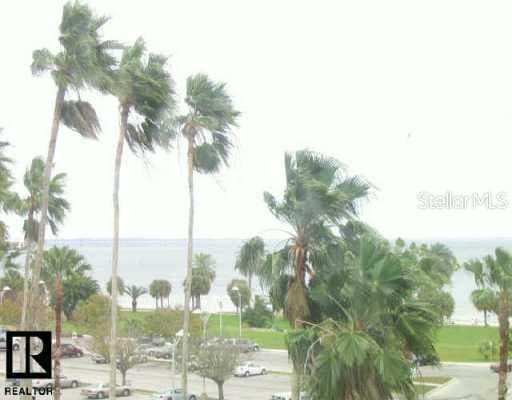 1120 North Shore DRIVE UNIT 504 St. Petersburg, FL 33701
