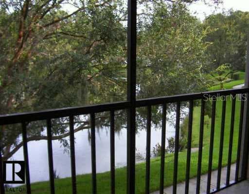 3377 Crystal COURT Palm Harbor, FL 34685
