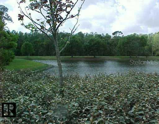3481 Kings ROAD UNIT 101 Palm Harbor, FL 34685